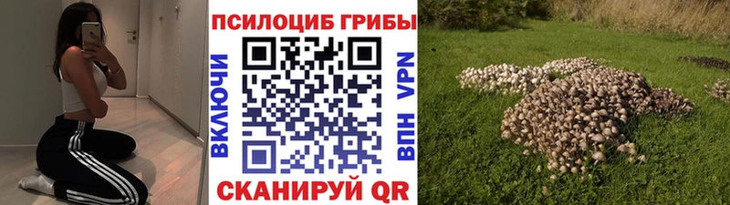 Псилоцибиновые грибы MAGIC MUSHROOMS  Анжеро-Судженск 