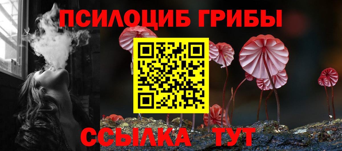 Галлюциногенные грибы мухоморы Анжеро-Судженск